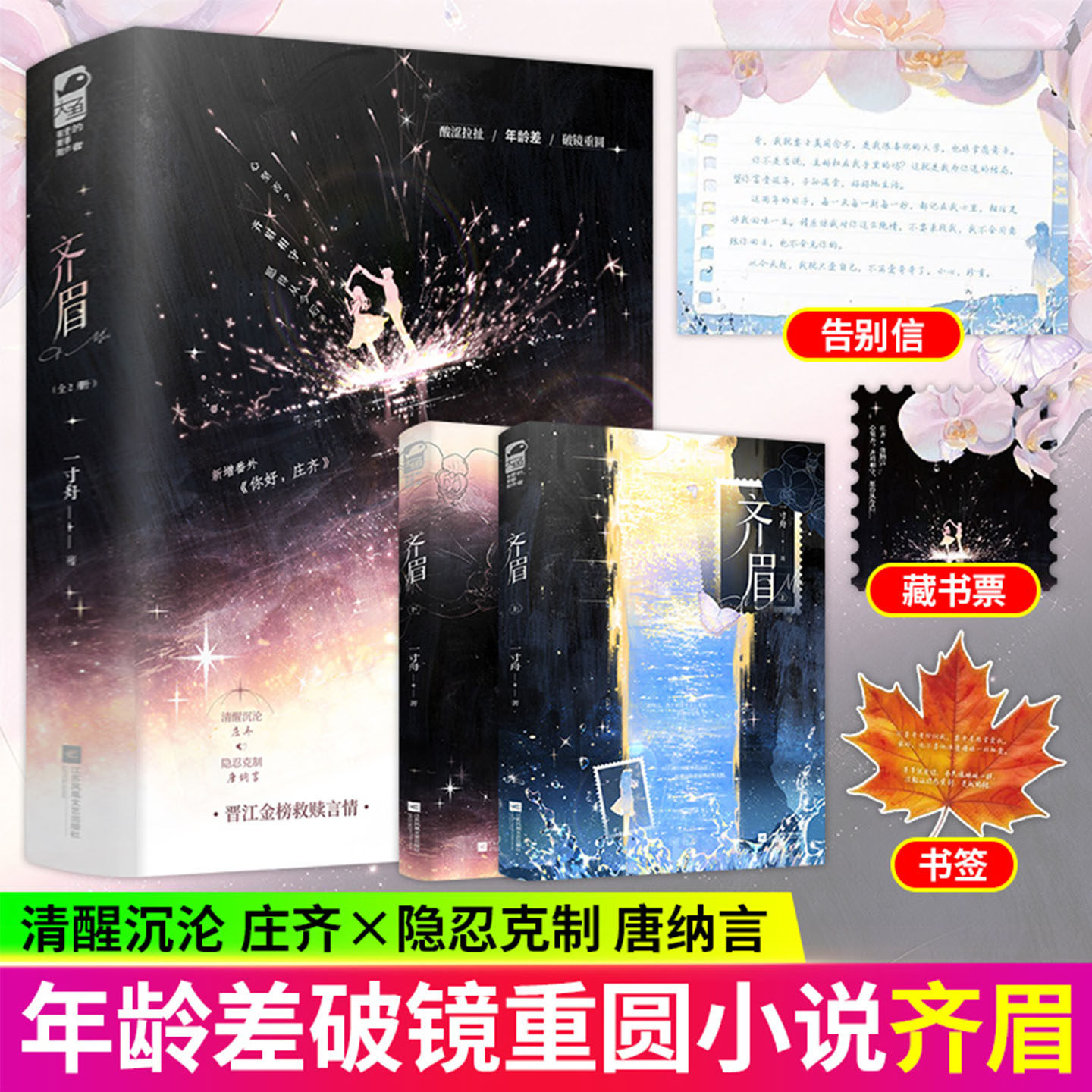 齐眉全2册 一寸舟著 清醒沉沦庄齐×隐忍克制唐纳言 年龄差破镜重圆酸涩拉扯文新增番外青春现代都市言情小说正版书籍【随书附赠】