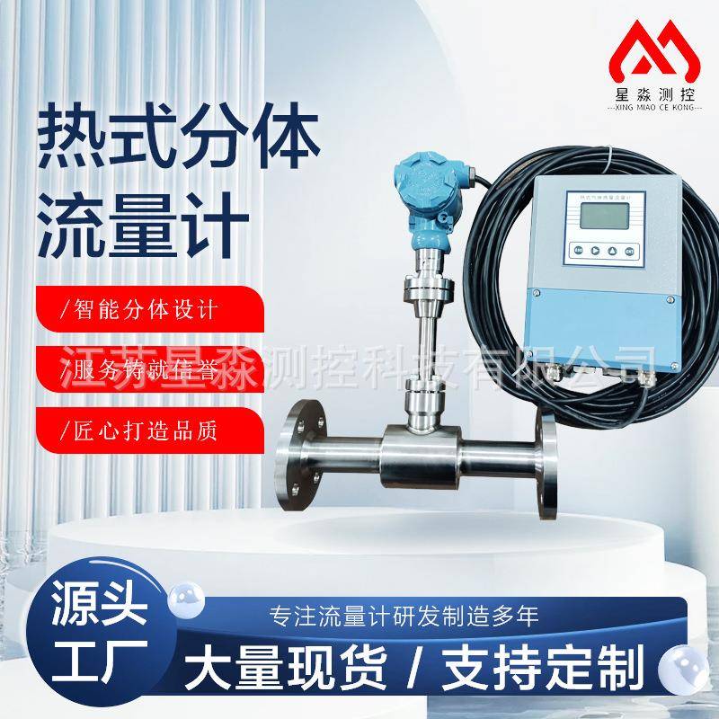 高精度热式气体质量流量计干燥气体分体式小微不锈钢流量表工厂