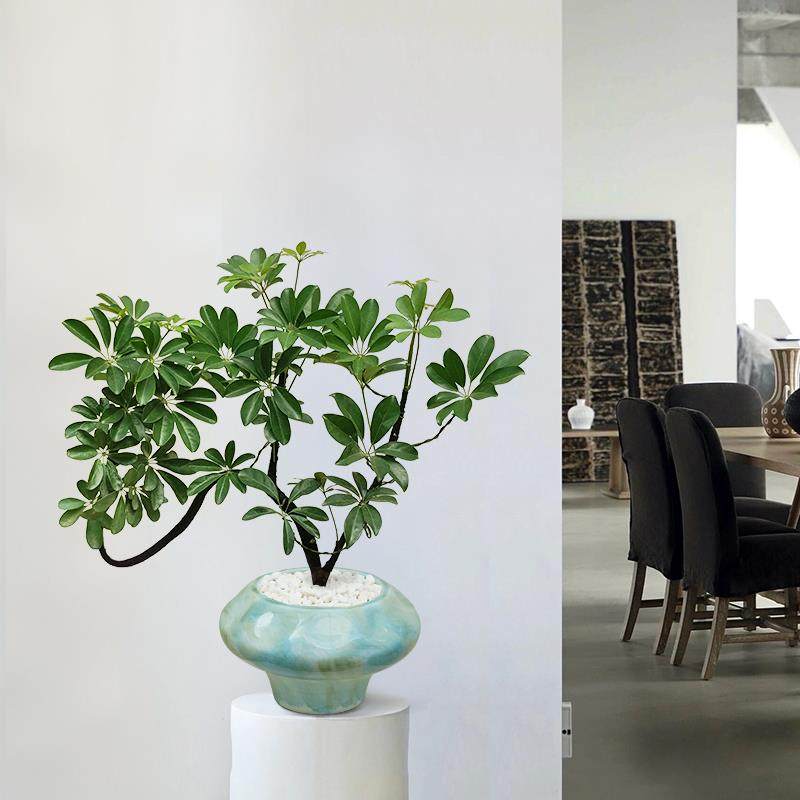 鸭脚木盆景桌面盆栽八方来财植物室内中式客厅办公室高级感绿植