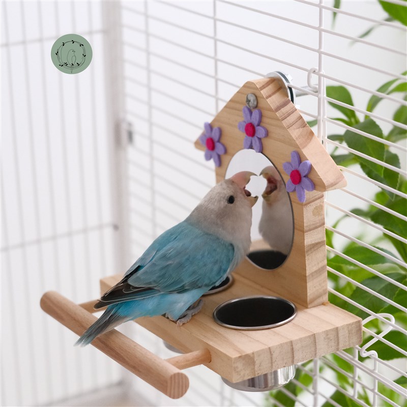 鹦鹉镜子食盒食盆防撒防溅鸟笼内挂牡丹玄凤虎皮站架解闷玩具