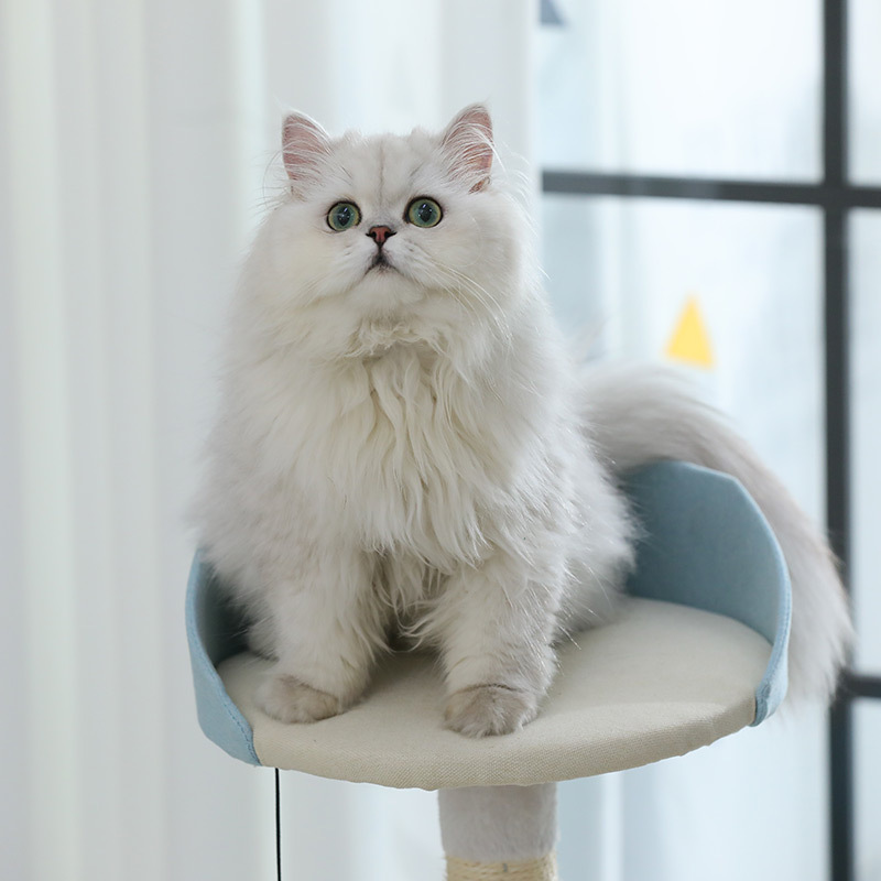 猫咪小型多功能隧道跳台一体猫爬架猫架子猫抓柱猫爬柱剑麻宠物用