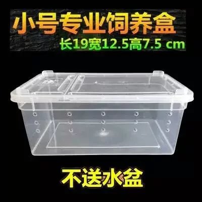 爬虫塑料饲养盒蜘蛛守宫蜥蜴蝎子蜈蚣角蛙龟蜗牛宠物蛇饲养盒