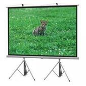 投影幕布双架 3灰幕150英寸支架式 红金叶