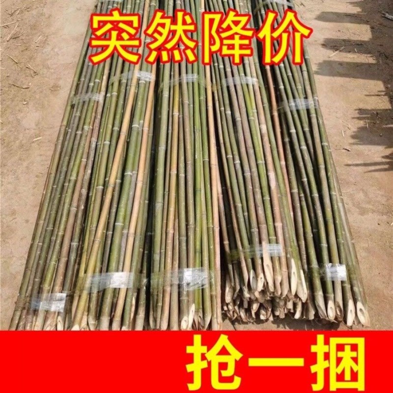 竹竿菜园搭架竹杆条3米豆角黄瓜架D子小竹子竹篱笆栅栏围栏架杆棍