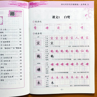 人教版练字帖五年级上册语文同步写字课课练字帖一类字书写正楷书生字拼音组词造句偏旁部首笔画笔顺写好中国字规范汉字描红本墨香