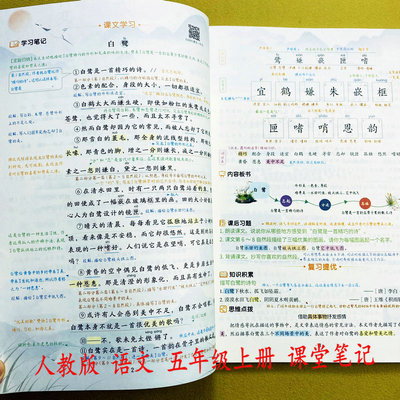 人教版五年级上册语文课堂笔记