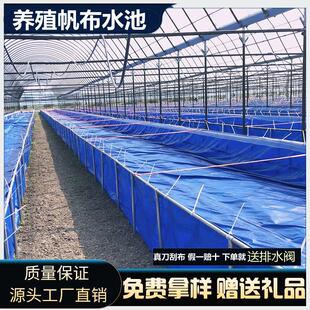 户外养殖帆布鱼池刀刮布水池圆形鱼池水蛭龙虾对虾锦鲤鱼水箱大棚