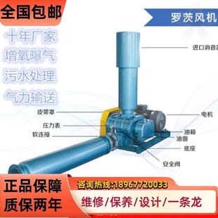 章丘三叶罗茨通风机 罗茨增氧机 污水培殖 气力输送 厂家章丘 SR3