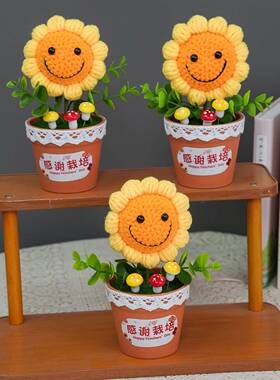 2026新款教师节礼物送幼儿园老师毛线钩织花束向日葵盆栽成品摆件