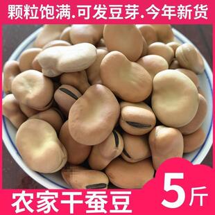 新货干蚕豆5斤 新鲜散装生蚕豆罗汉豆胡豆干货可发芽油炸蚕豆