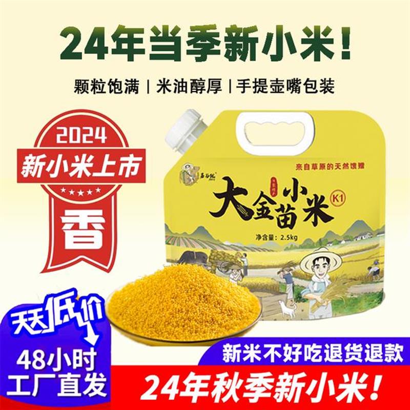 好货24年蒙古赤峰5斤黄小