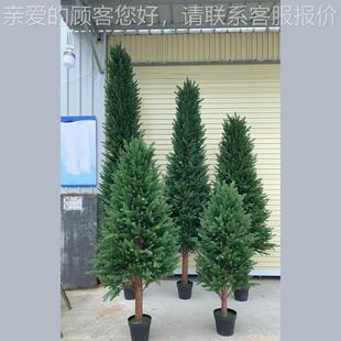 树定制冷杉树仿真定杉大树叶室内装饰造景假树72011叶做各种厂家