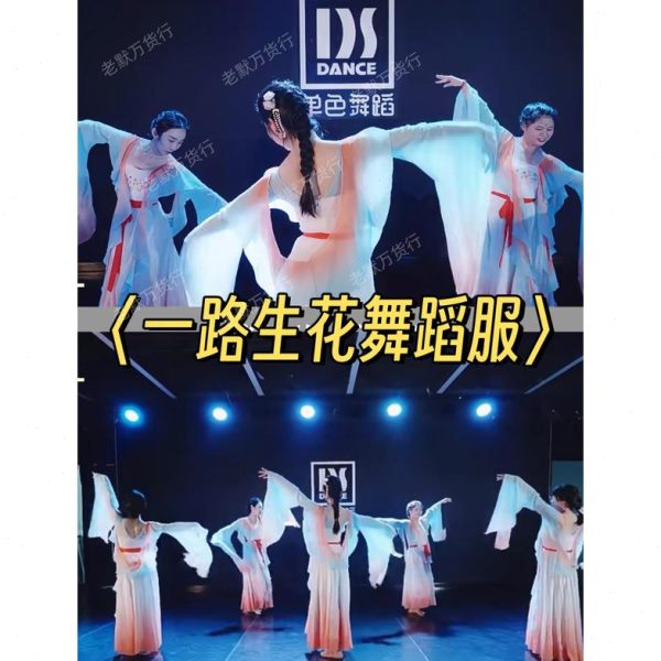 生衣一飘逸纱花儿新款同款蹈演出服服古风女舞蹈服情儿童古典舞路