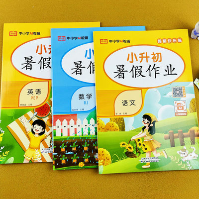 六年级下册语文小升初暑假作业