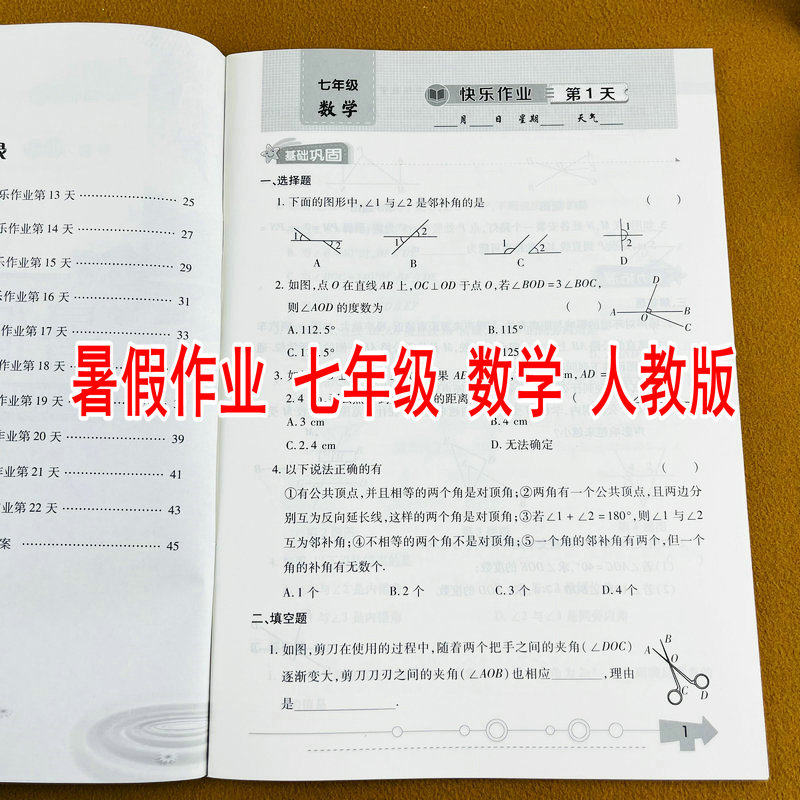 2026新版智趣暑假作业人教版七年级数学同步练习假期作业本巩固复习题初中生7年级下册七升八年级巩固知识能力提升训练 - 实物图