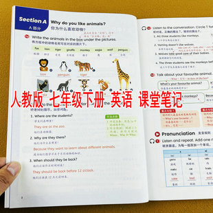 2026春季新版人教版七年级下册英语课堂笔记初一下学期同步新教材精讲课本提前学课前预习课后复习课本全解学霸随堂笔记