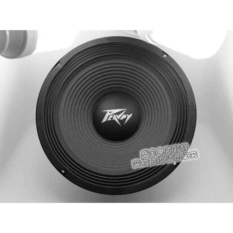 东浪12寸低音l喇叭发烧舞台音箱喇叭直径30.5cm 大功率200-300W