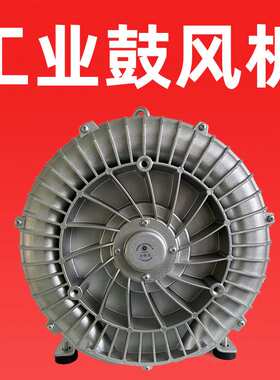 2BH1930-7AH07清洗机设备配套抽真空风机