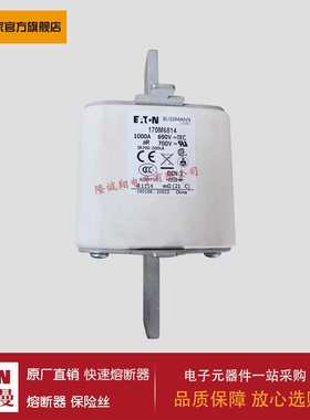 熔断器170M6813 170M6814 170M2673 170M2674 170M2675 170M2676