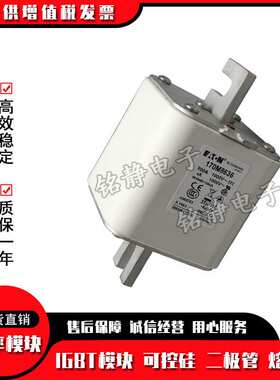 170M8610 170M8611 170M8612保险丝170M8613巴斯曼熔断器