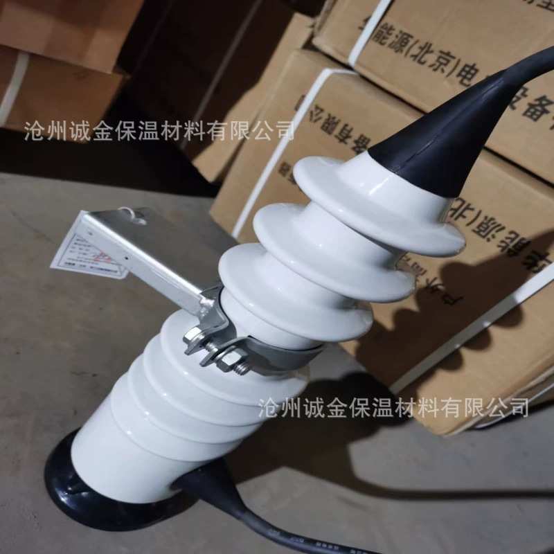 10KV户外高压封闭型喷射式熔断器 PRW-12/50A100A 令克开关保险