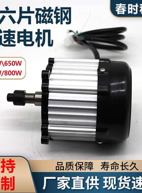 电动三轮车差速减速直流无刷磁铜永磁同步高速电机800W72V