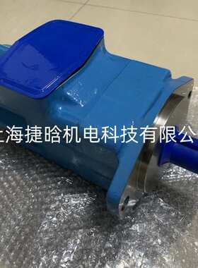 ALBERT叶片泵 4520V60A12-1AB22R 25V21A-1C22R 液压油泵