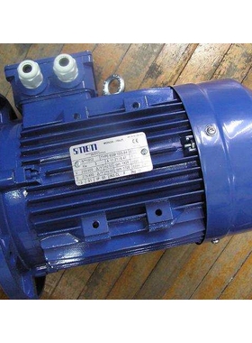供应意大利SEME电机  IE2系列电机