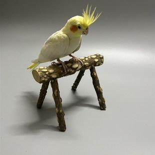 牡丹玄凤虎皮鹦鹉桌面站架花椒木站棍大中型型鹦鹉啃咬玩具鸟笼
