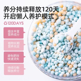 长寿花缓释肥花肥料家用阳台盆栽通用绿植绿叶促开花卉颗粒肥