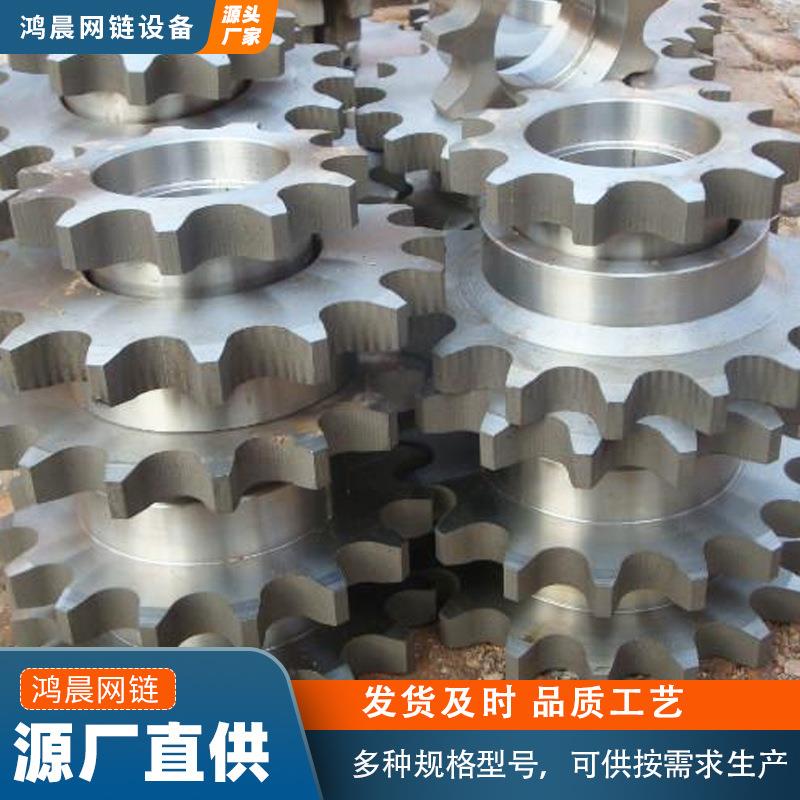 304不锈钢链轮大节距非标链轮食品机械用传动链轮双排不锈钢链轮