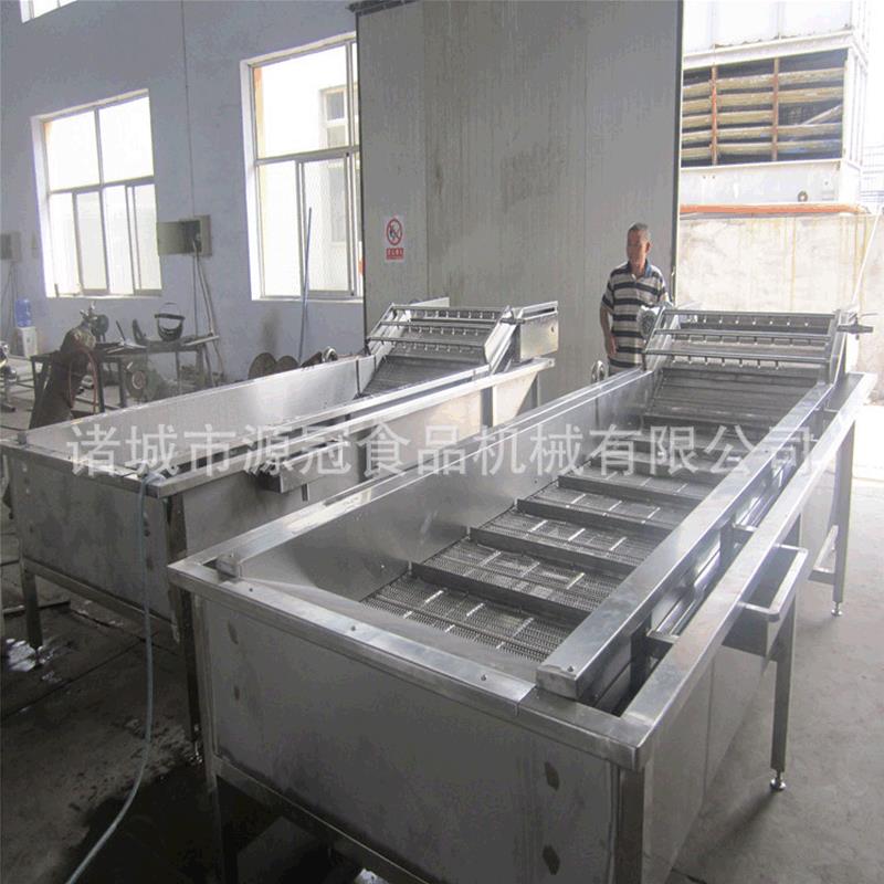 全自动黄桃清洗机 辣椒大枣荔枝气泡清洗机 果蔬芒果清洗流水线