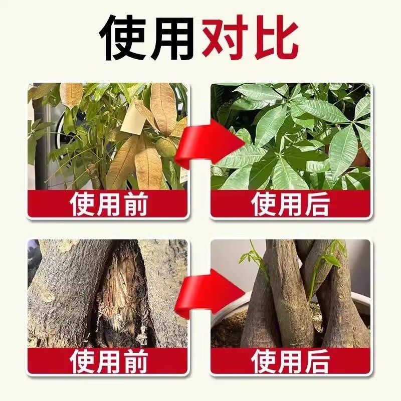 发财树黄叶枯叶烂根专用营养液掉叶黄斑强力杀菌复活液再生根剂,鲜花速递/花卉仿真/绿植园艺,家庭园艺肥料,淘宝优惠券,粉丝福利购,淘宝优惠卷