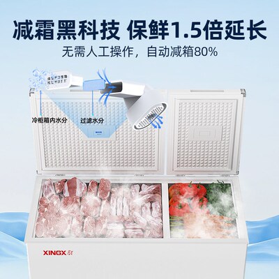 星星冰柜家用小型冷藏冷冻两用178/200/505升一级商用大容量冷柜