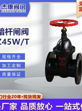 铸铁暗杆闸阀Z45W/T-10硬密封闸阀法兰闸阀防护阀铜芯铜杆