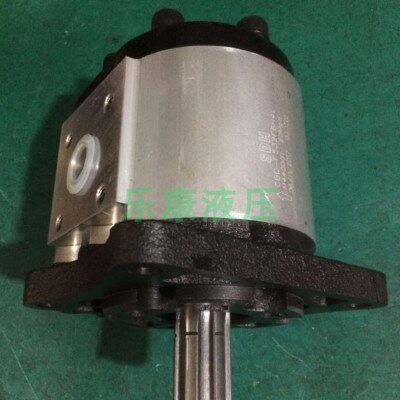 上海大众液压齿轮油泵SDH CBD-F550F31H4L -F550F31H4 F532F6H4L