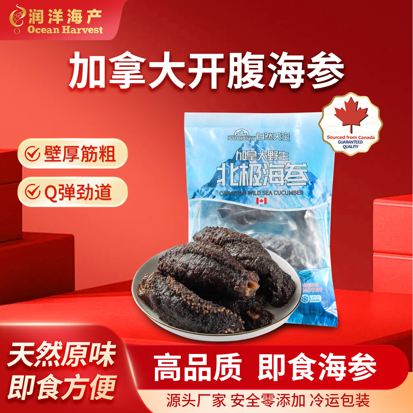 NATURESKY加拿大传统水发工艺即食海参进口北极开腹海参化冻即食
