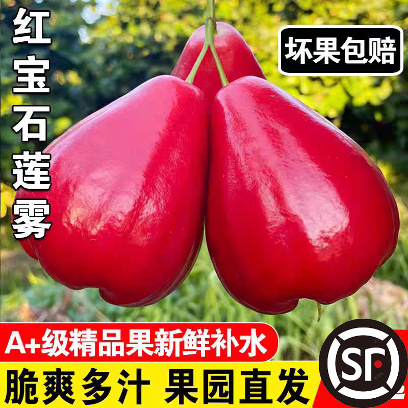 【顺丰京东】精品红宝石莲雾正宗海南新鲜当季水果现摘仙女果大果