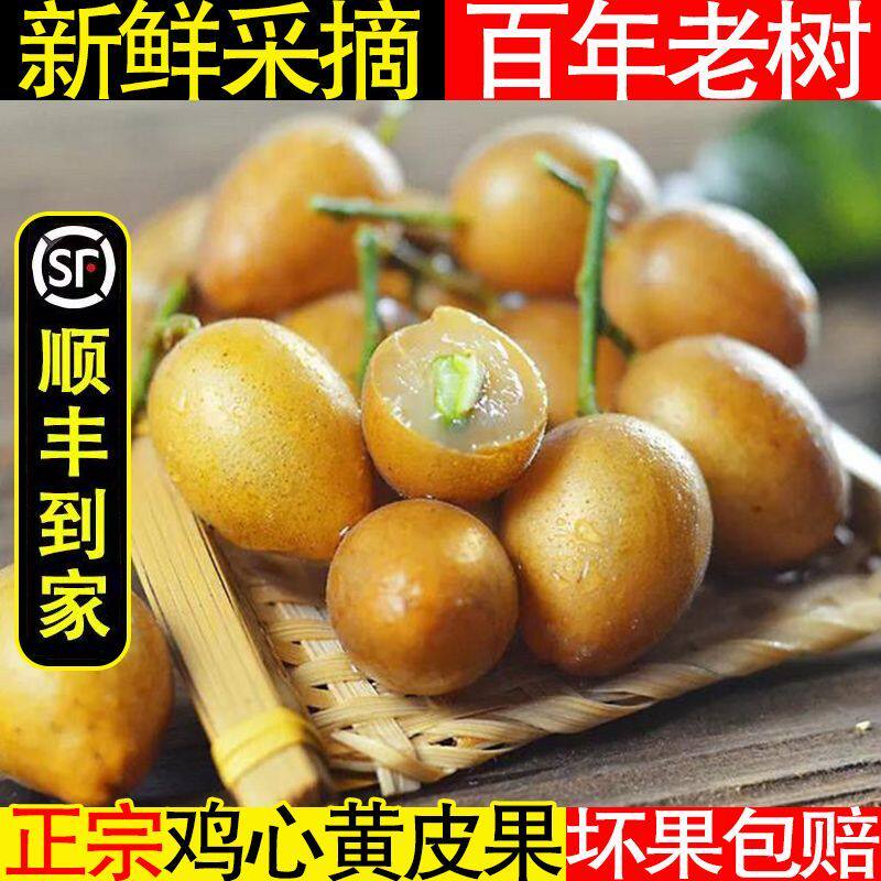 【顺丰锁鲜】福建鸡心黄皮果树上熟孕妇整箱酸甜新鲜现摘当季包邮