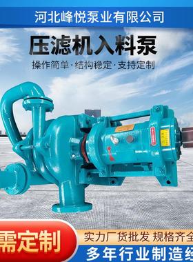 压滤机入料泵泥浆泵50ZJW-65SYA80ZJE100ZJW泥浆进料泵渣浆泵