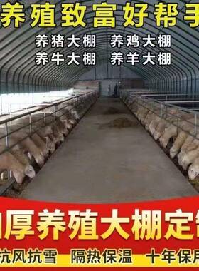 椭管养殖大棚圆牛养鸡大棚全套养猪产羊大棚CYQ骨架钢管种植香菇