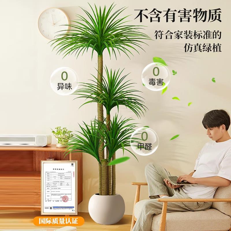 仿真绿植物龙血树植高端轻客厅室内250206龙装饰摆大型盆栽高奢级