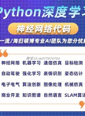 Python代编深度学习算法神经网络爬虫matlab程序图像信号处理彷真