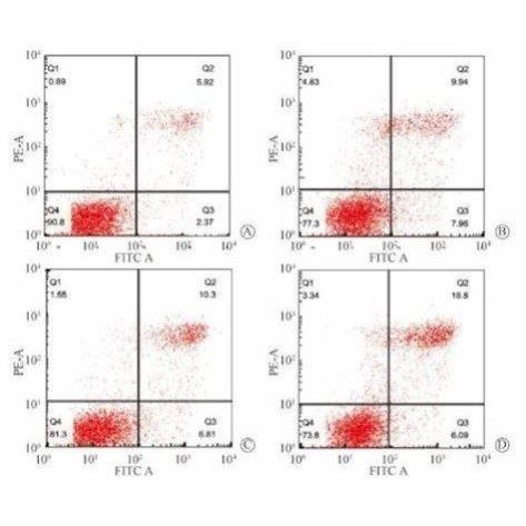 生信分析单细胞联合转录组数据分析网络药理学,商务/设计服务,其它设计服务,淘宝优惠券,粉丝福利购,淘宝优惠卷