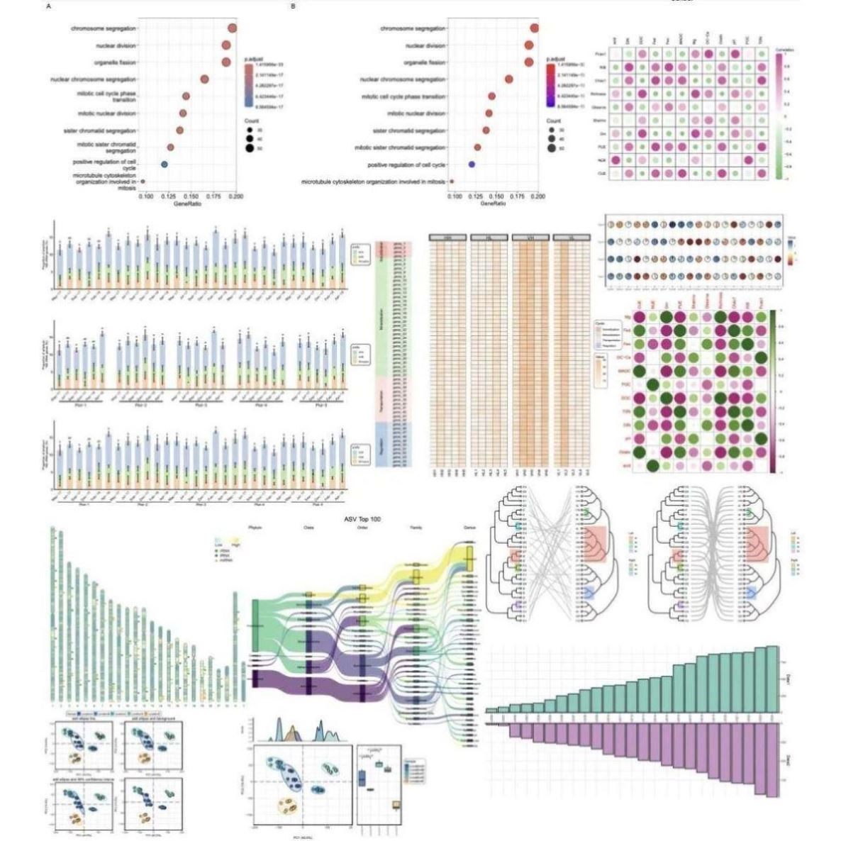 CLIP-seq互作分析 RNA-蛋白结合位点 鉴定服务,商务/设计服务,其它设计服务,淘宝优惠券,粉丝福利购,淘宝优惠卷