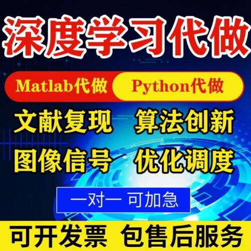 matlab代码帮做编写程序代编代做python深度学习复现算法仿真编程