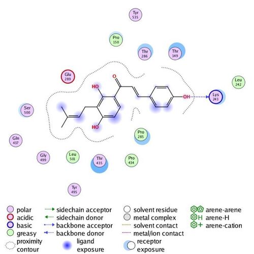 Discovery studio/MOE分子对接 blast序列比对