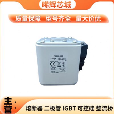 170M6548全新原装  快速熔断器  电子元器件 库存充足 量大价优