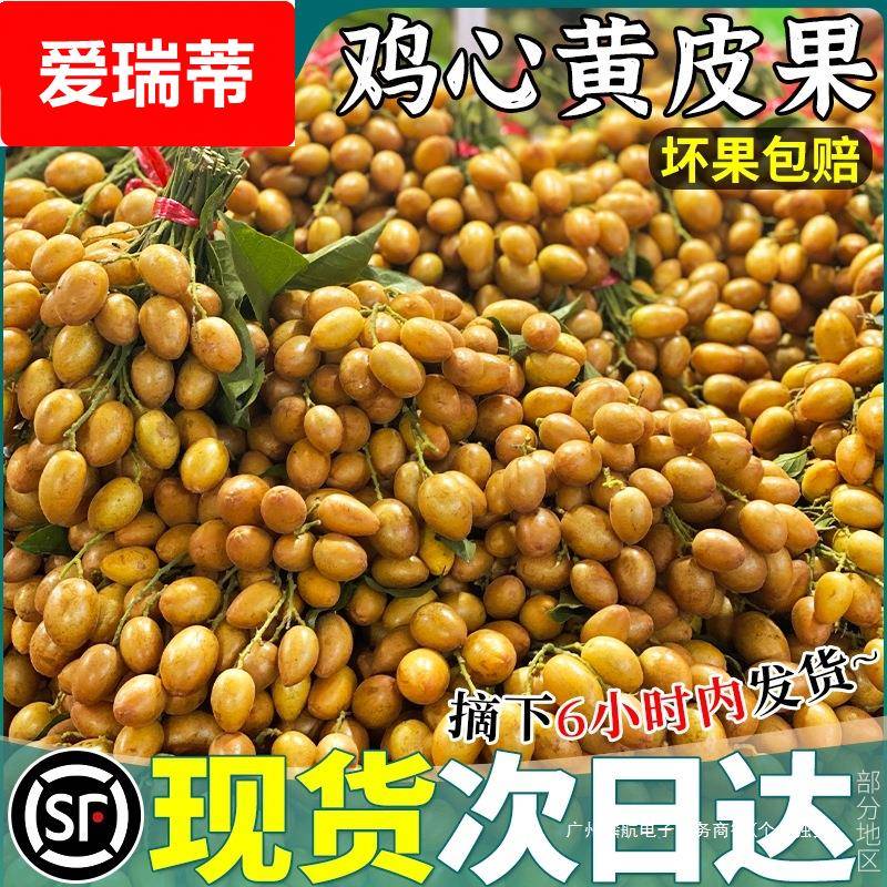 顺丰现货 5斤广东鸡心黄皮果新鲜水果正宗无黄弹子当季整箱包邮