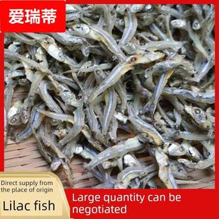 干小鱼块500g干白鱼瓣鱼子酱海鱼块干货润宁江湖街档海燕鱼干
